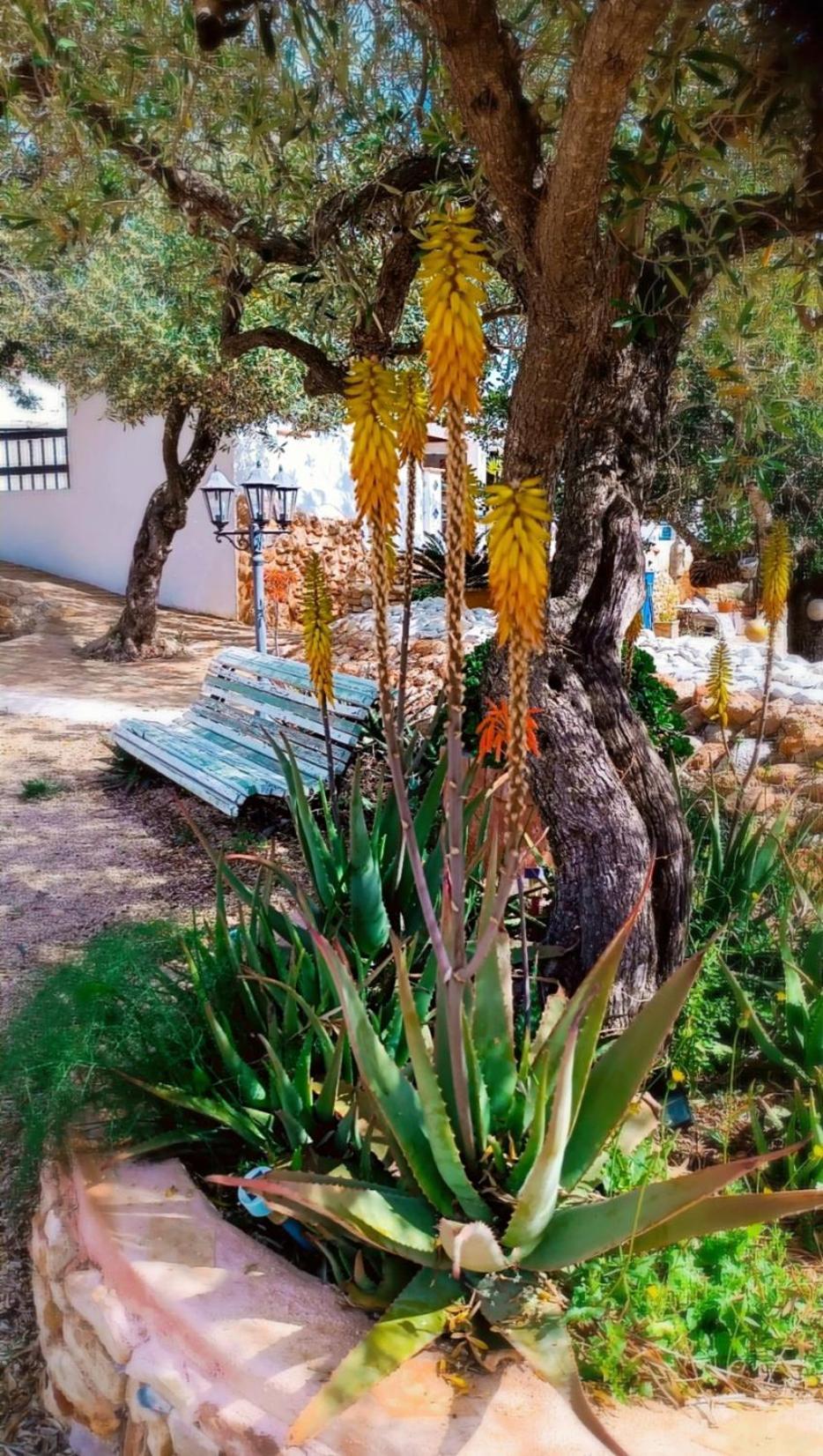Flaire Mar Holiday home